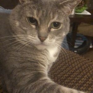 Meet your Posher, Ignacio